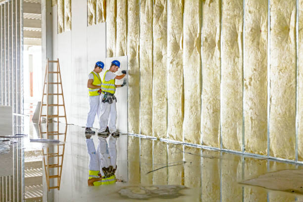 Insulation Maintenance and Repair